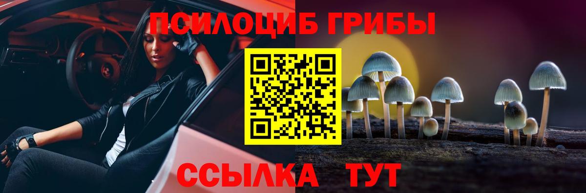 магазин    Вход с VPN  Галлюциногенные грибы ЛСД  Оренбург  Галлюциногенные грибы мицелий 